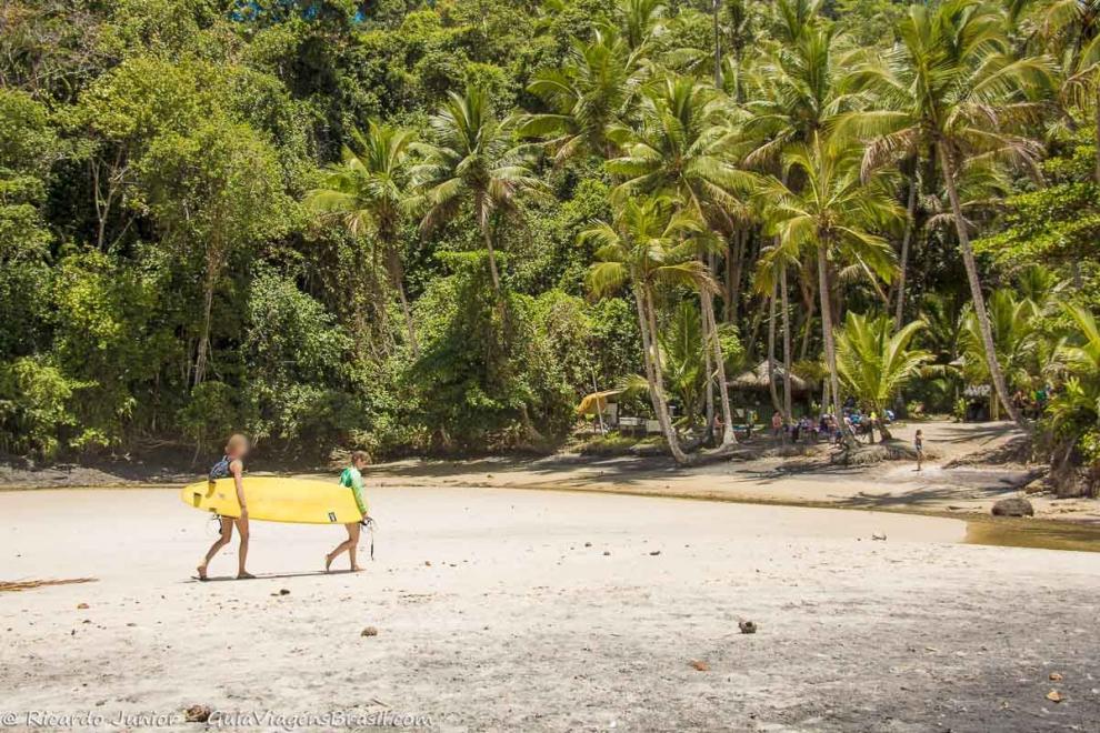 Imagem de dois surfistas levando uma prancha e ao fundo belos coqueiros.